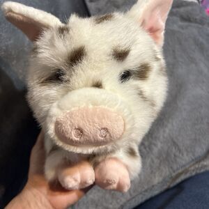 Douglas Brown Spotted Pig LEVI #2454 Adorable Plush Pig 16” EUC